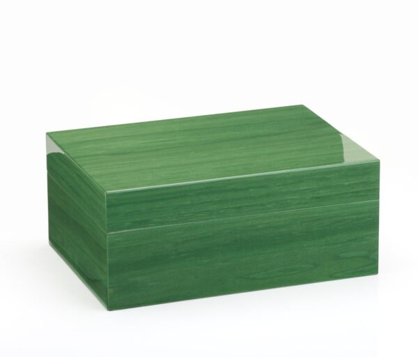 Roma SC1 Watches holder box green veined