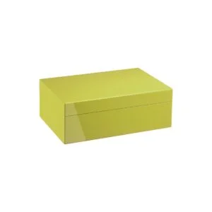 Roma SC2 watches holder box pistachio